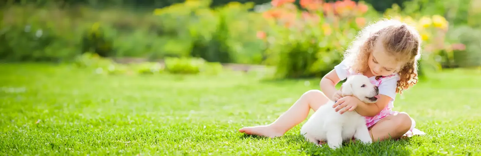dog-and-child-in-grass-mosquito